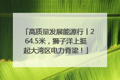 高质量发展能源行丨264.5米，狮子洋上挺起大湾区电力脊梁！
