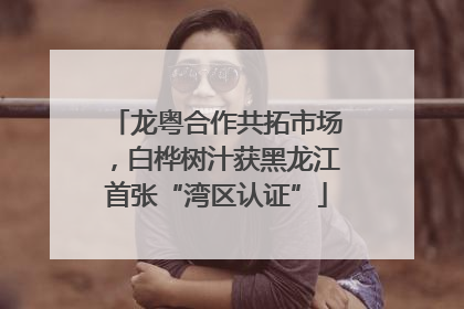 龙粤合作共拓市场，白桦树汁获黑龙江首张“湾区认证”