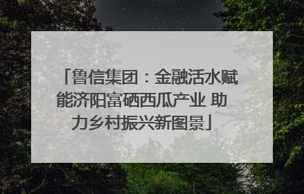 鲁信集团：金融活水赋能济阳富硒西瓜产业 助力乡村振兴新图景
