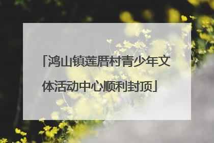 鸿山镇莲厝村青少年文体活动中心顺利封顶