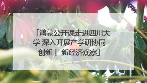 鸿蒙公开课走进四川大学 深入开展产学研协同创新丨 新经济观察