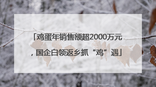 鸡蛋年销售额超2000万元，国企白领返乡抓“鸡”遇