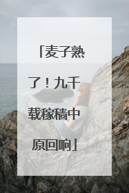 麦子熟了！九千载稼穑中原回响