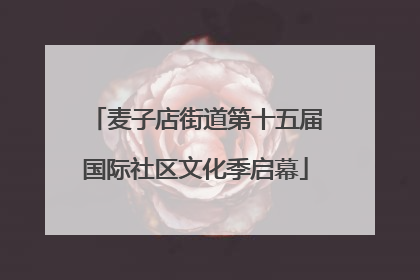 麦子店街道第十五届国际社区文化季启幕