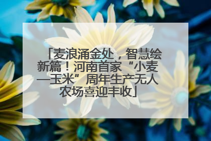 麦浪涌金处，智慧绘新篇！河南首家“小麦—玉米”周年生产无人农场喜迎丰收