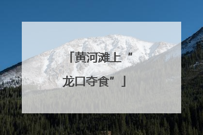 黄河滩上“龙口夺食”