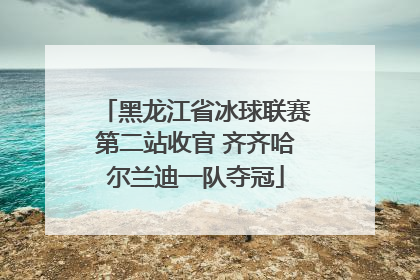 黑龙江省冰球联赛第二站收官 齐齐哈尔兰迪一队夺冠