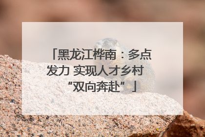 黑龙江桦南：多点发力 实现人才乡村“双向奔赴”