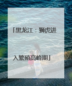 黑龙江：狮虎进入繁殖高峰期