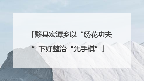 黟县宏潭乡以“绣花功夫”下好整治“先手棋”