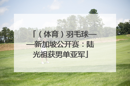 （体育）羽毛球——新加坡公开赛：陆光祖获男单亚军