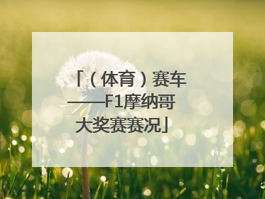 （体育）赛车——F1摩纳哥大奖赛赛况