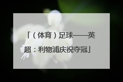 （体育）足球——英超：利物浦庆祝夺冠