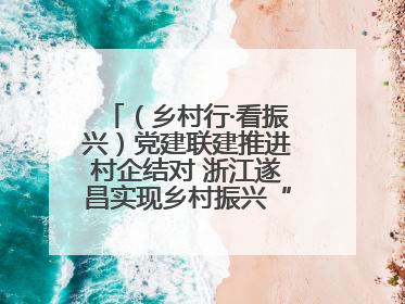 （乡村行·看振兴）党建联建推进村企结对 浙江遂昌实现乡村振兴“加速度”