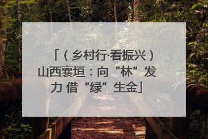 （乡村行·看振兴）山西襄垣：向“林”发力 借“绿”生金