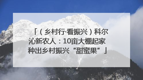（乡村行·看振兴）科尔沁新农人：10亩大棚起家种出乡村振兴“甜蜜果”