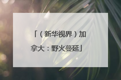 （新华视界）加拿大：野火蔓延