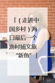 （走进中国乡村）海口最后一个渔村捕文旅“新鱼”