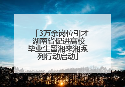 3万余岗位引才 湖南省促进高校毕业生留湘来湘系列行动启动