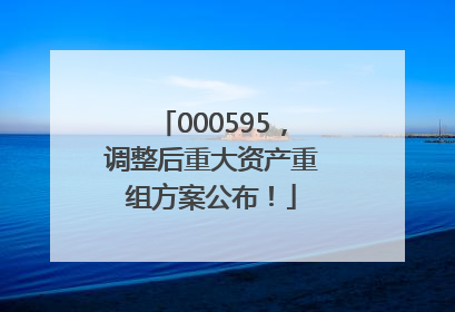 000595，调整后重大资产重组方案公布！