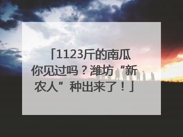 1123斤的南瓜你见过吗？潍坊“新农人”种出来了！