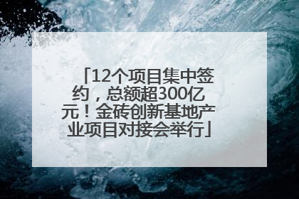 12个项目集中签约，总额超300亿元！金砖创新基地产业项目对接会举行