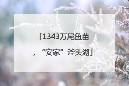 1343万尾鱼苗，“安家”斧头湖