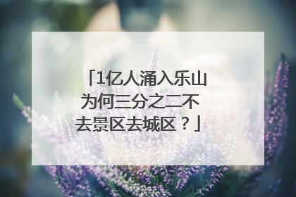 1亿人涌入乐山 为何三分之二不去景区去城区？