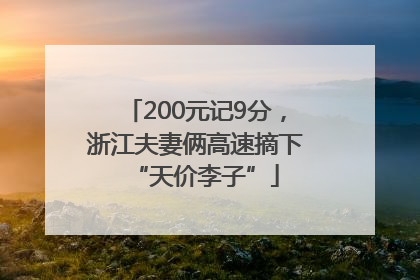 200元记9分，浙江夫妻俩高速摘下“天价李子”