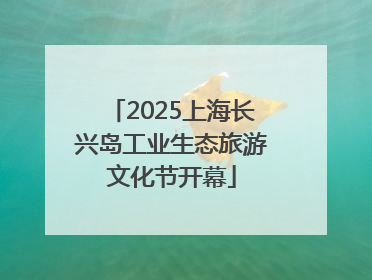 2025上海长兴岛工业生态旅游文化节开幕