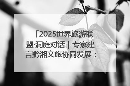 2025世界旅游联盟·洞庭对话｜专家建言黔湘文旅协同发展：聚焦产品稀缺性 深化区域经验共享
