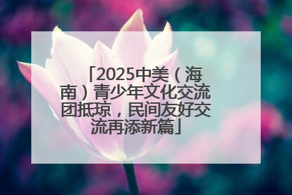 2025中美（海南）青少年文化交流团抵琼，民间友好交流再添新篇
