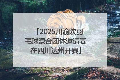 2025川渝陕羽毛球混合团体邀请赛在四川达州开赛