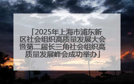 2025年上海市浦东新区社会组织高质量发展大会暨第二届长三角社会组织高质量发展峰会成功举办