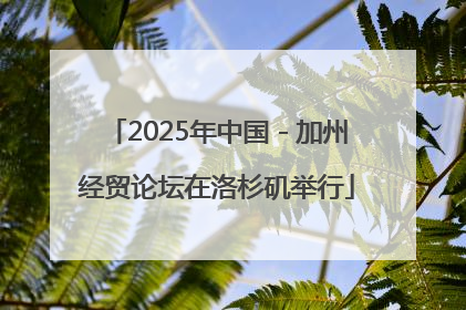 2025年中国－加州经贸论坛在洛杉矶举行