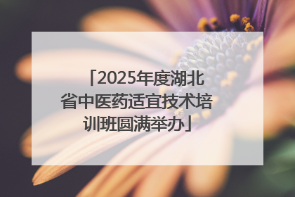 2025年度湖北省中医药适宜技术培训班圆满举办