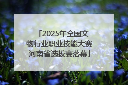 2025年全国文物行业职业技能大赛河南省选拔赛落幕