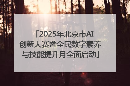 2025年北京市AI创新大赛暨全民数字素养与技能提升月全面启动