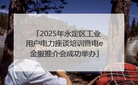 2025年永定区工业用户电力座谈培训暨电e金服推介会成功举办