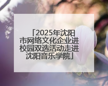 2025年沈阳市网络文化企业进校园双选活动走进沈阳音乐学院