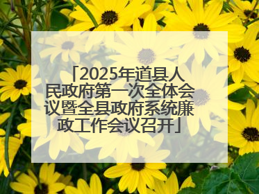 2025年道县人民政府第一次全体会议暨全县政府系统廉政工作会议召开