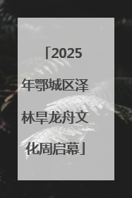 2025年鄂城区泽林旱龙舟文化周启幕