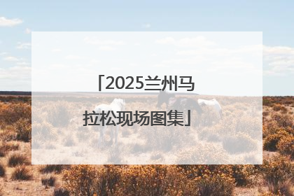 2025兰州马拉松现场图集