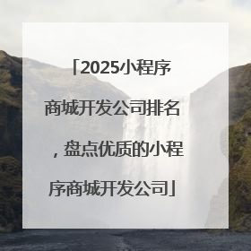 2025小程序商城开发公司排名，盘点优质的小程序商城开发公司