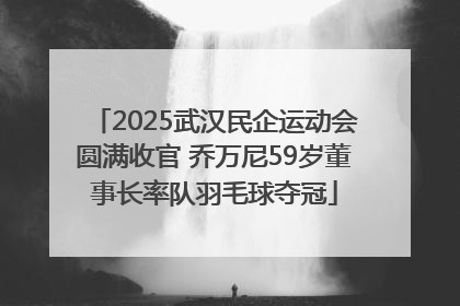 2025武汉民企运动会圆满收官 乔万尼59岁董事长率队羽毛球夺冠