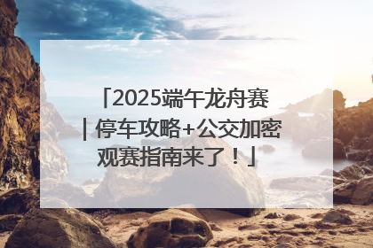 2025端午龙舟赛｜停车攻略+公交加密 观赛指南来了！