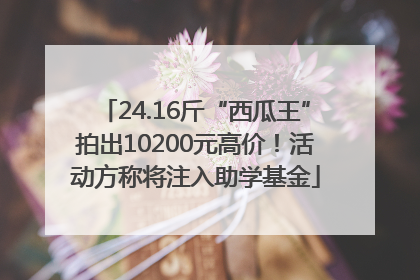 24.16斤“西瓜王”拍出10200元高价！活动方称将注入助学基金