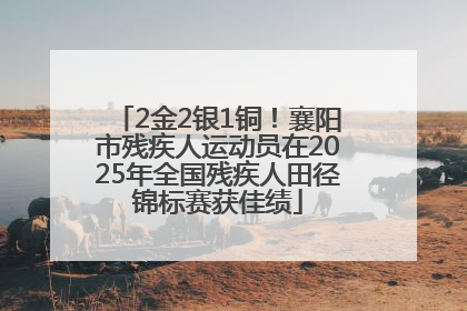 2金2银1铜！襄阳市残疾人运动员在2025年全国残疾人田径锦标赛获佳绩