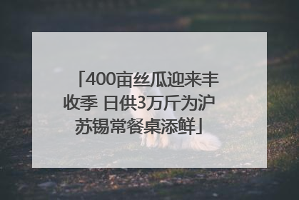 400亩丝瓜迎来丰收季 日供3万斤为沪苏锡常餐桌添鲜
