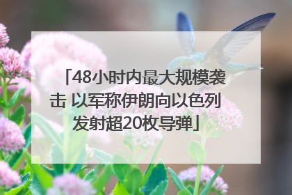 48小时内最大规模袭击 以军称伊朗向以色列发射超20枚导弹
